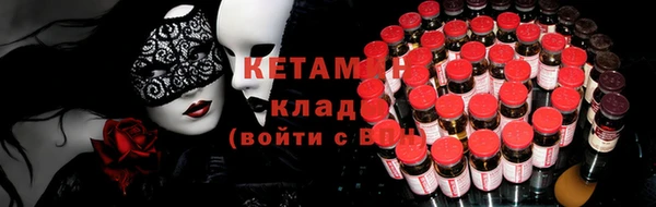 сатива Аркадак
