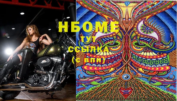 сатива Аркадак