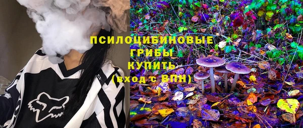 прущая мука Арсеньев